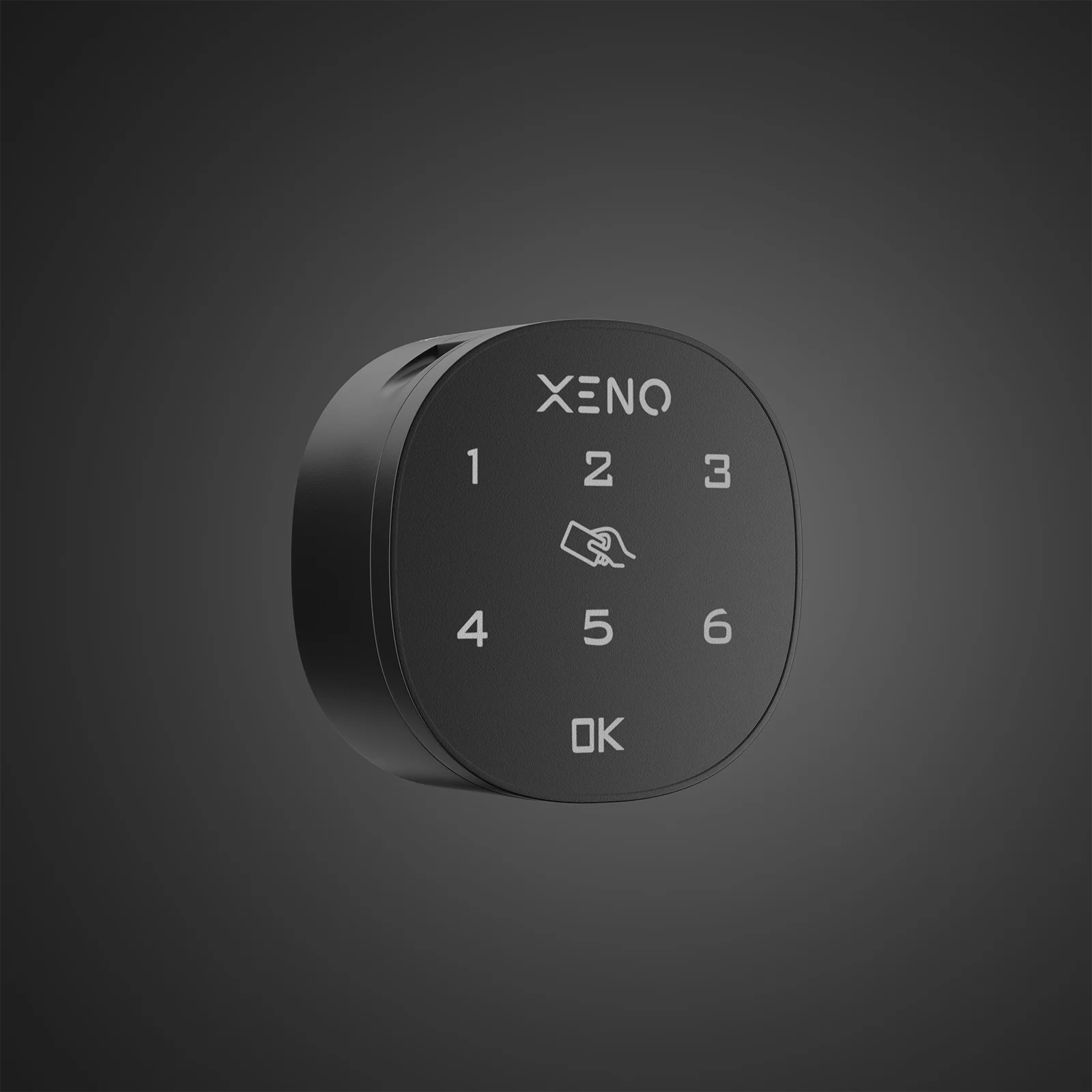 Smart digital mailbox lock with PIN and RFID access